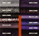 photo_Continent of Vibrancy(2)
