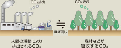 CO2排出・CO2吸収