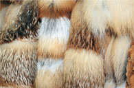 Natural fur
