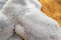 Eco fur